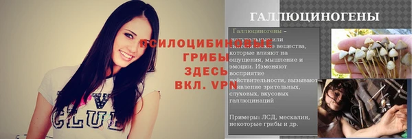 СК Кодинск