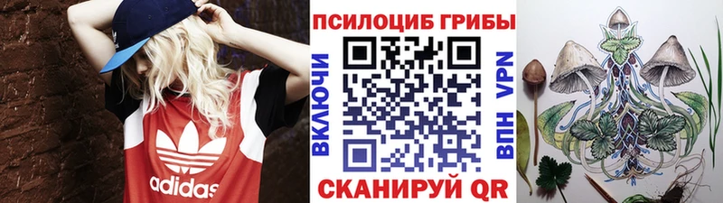 Купить  Стародуб  Псилоцибиновые грибы прущие грибы 